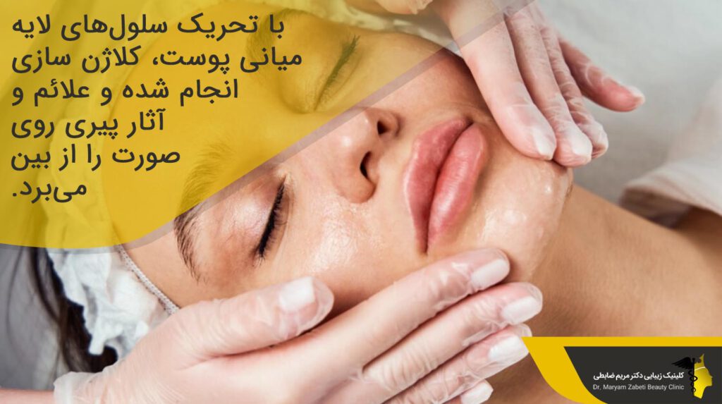 تحریک سلول‌های لایه میانی پوست